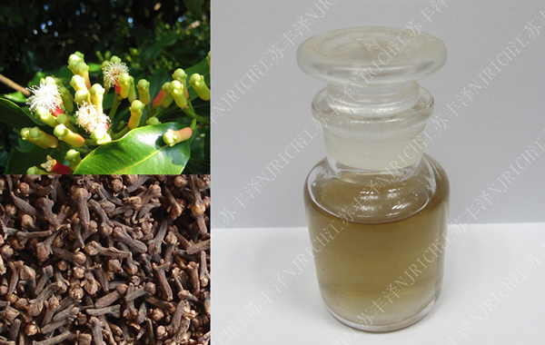 印尼丁香叶油 Clove leaf oil INDONESIA