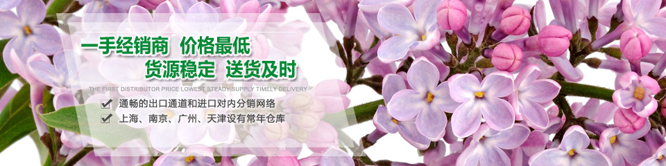 丁香油banner 待改